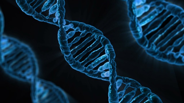 šroubovice DNA