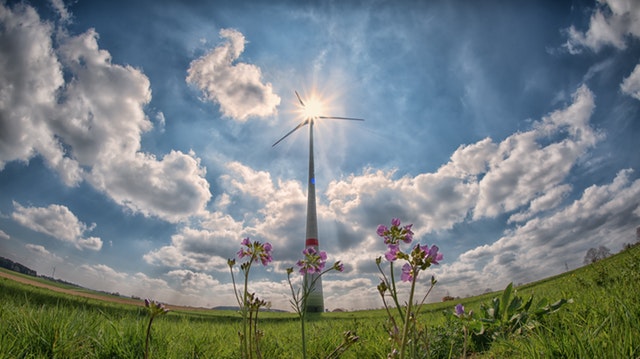 Větrná turbína, před kterou rostou fialové květiny stojící na louce za slunného počasí