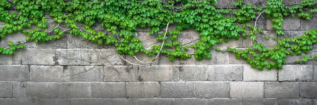 betonová zeď